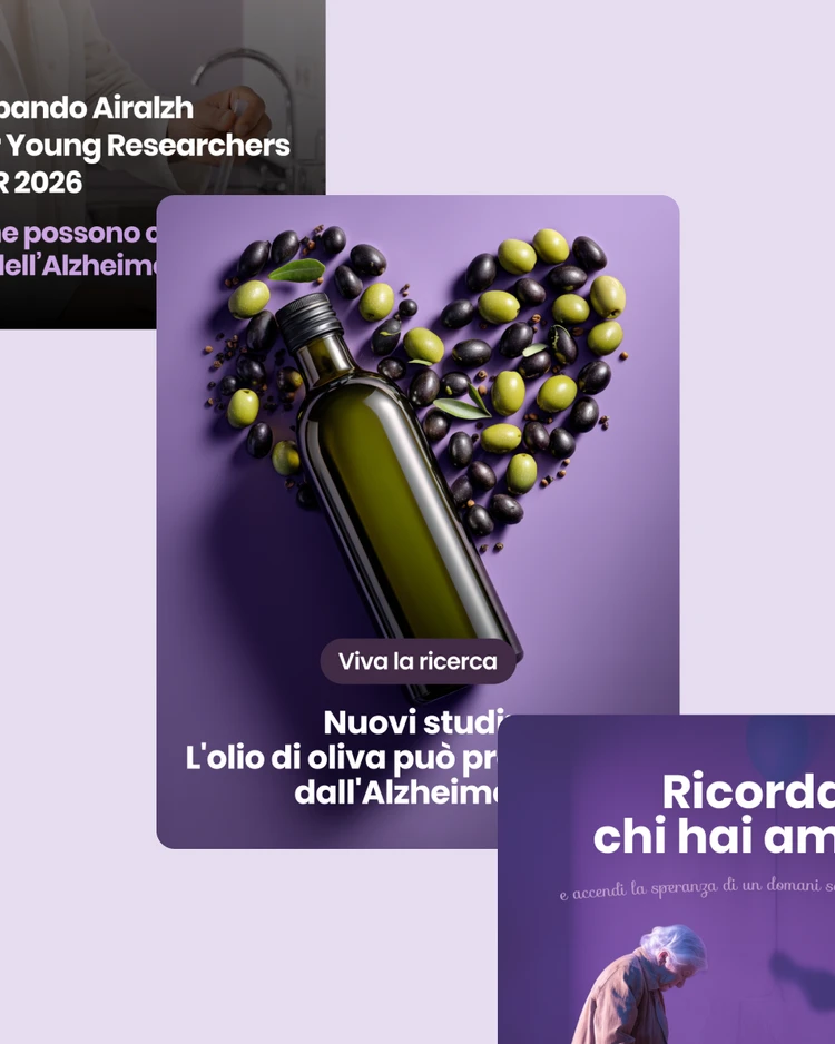 SEO e Web Analytics per Airalzh