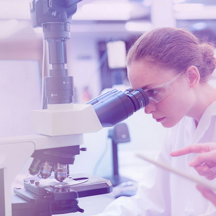 Digital fundraising per Airalzh