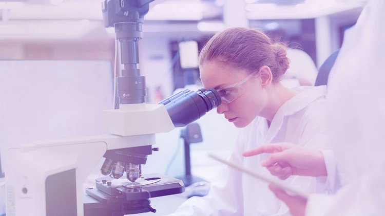 Digital fundraising per Airalzh